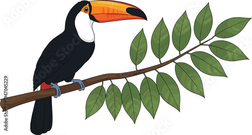 Toco Toucan Cartoon Vector Illustration Perched On Tropical Green Leaf Branch, Exotic Rainforest Bird For Jungle Nature Design, Wildlife Character Graphic For Children.