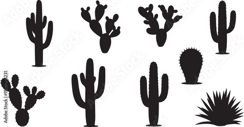 Set of 8 black cactus icons vector