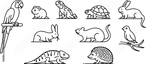 Minimalist domestic pet outline icons with bird rabbit rodent turtle and lizard in professional line style