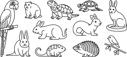 Cute animal illustrations parrot hamster turtle rabbit mouse hedgehog bird for kids