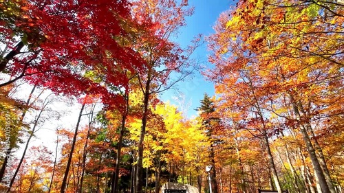秋の空気神社【山形県朝日町】