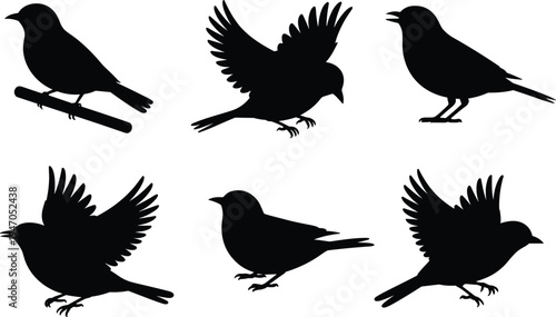 Crow bird silhouettes vector set, flying and perched black crows collection, wildlife nature bird shapes isolated, flat vector illustration