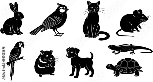 Pet animals silhouette collection including dog cat rabbit bird parrot hamster turtle lizard and mouse isolated on white background for design.