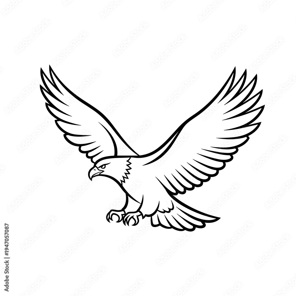 Fototapeta premium Simple outline drawing of a flying eagle silhouette