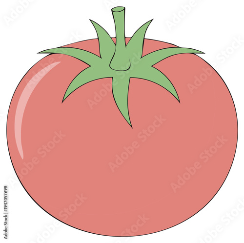 Vibrant red ripe tomato with green stem and leaves fresh fruit cartoon illustration