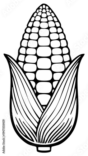 Illustration of a single ear of corn with husk, black and white outline.