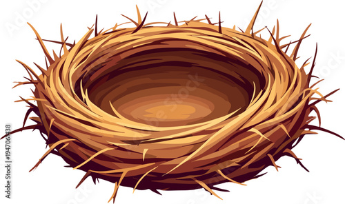 Empty bird nest close up illustration, detailed twig nest texture, natural bird home wildlife clipart isolated on white background