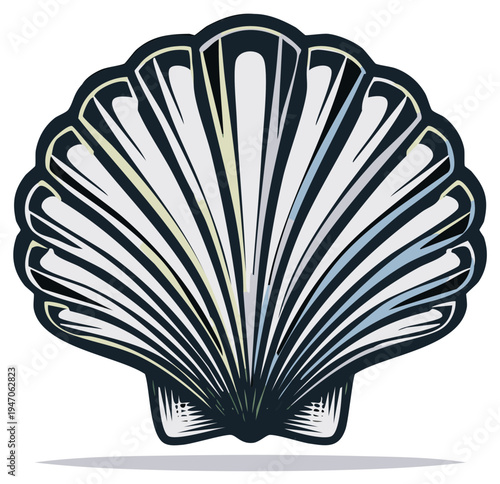 Stylized illustration of a white scallop seashell with radiating lines and dark outline