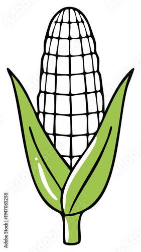 Fresh Green Corn Cob with Leaves Illustration