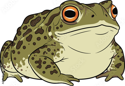 Green toad with brown spots and orange eyes, sitting calmly, wildlife amphibian nature vector illustration, isolated on white background, cartoon animal line art.