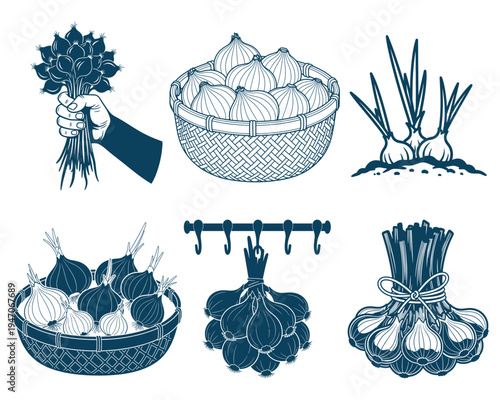 Hand Drawn Garlic Line Art Set – Fresh Garlic Bulb, Clove and Plant Illustrations