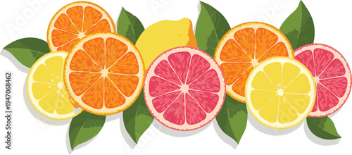 Colorful Citrus Fruit Slices Background Orange Lemon and Grapefruit Illustration