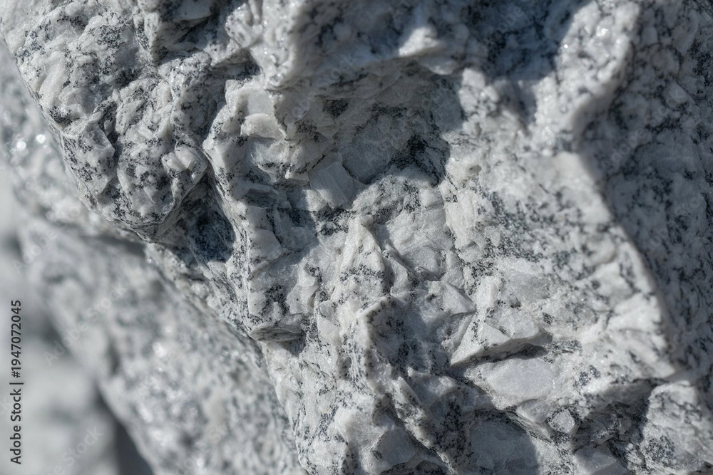 Fototapeta premium Detailed Granite Stone Surface Texture with Black, White, and Grey Mineral Grains