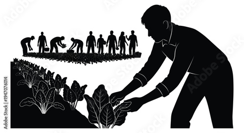 A group of farmers tending to a leafy green crop in a field depicted in stark contrast silhouette
