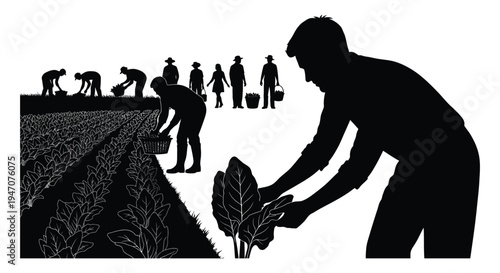 A group of farmworkers tending to crops in a field depicted in a striking black silhouette high quality
