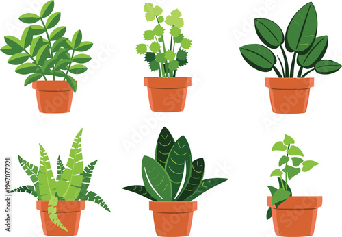 Set of green houseplants in terracotta pots flat vector illustration indoor potted plants collection botanical home decor foliage isolated on light background