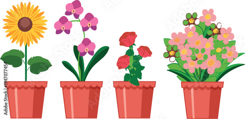 Vector illustration set of colorful flowering plants in terracotta pots including sunflower orchid and decorative garden flowers for indoor and outdoor decor