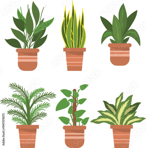 Vector set of tropical houseplants in terracotta pots flat botanical illustration collection with green foliage indoor decorative plants isolated on light background