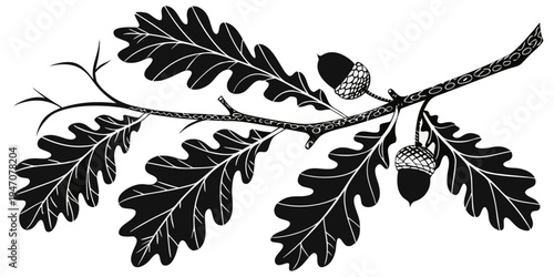 A detailed illustration of an oak leaf branch with acorns and leaves