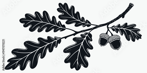 A detailed illustration of an oak branch with leaves and acorns