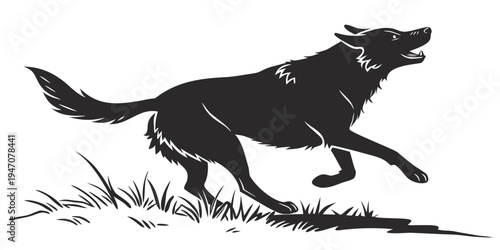 A black dog with a collar running through a grassy field with a shadow.