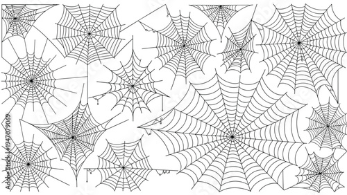 Large collection of hand drawn spider webs and cobwebs in various shapes and sizes isolated on a white background for halloween design.