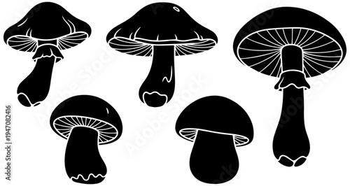 Set of realistic black mushrooms with detailed caps and stems