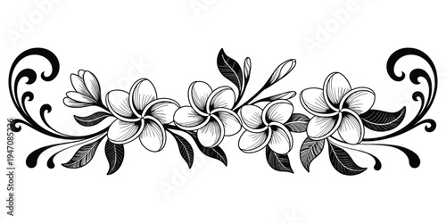 Black and White Decorative Floral Border with Plumeria Flowers and Swirls Keywords: plumeria flowers, frangipani, floral border