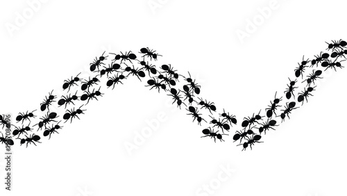 Silhouette of a long line of black ants marching in a synchronized wavy formation across a white background representing teamwork.