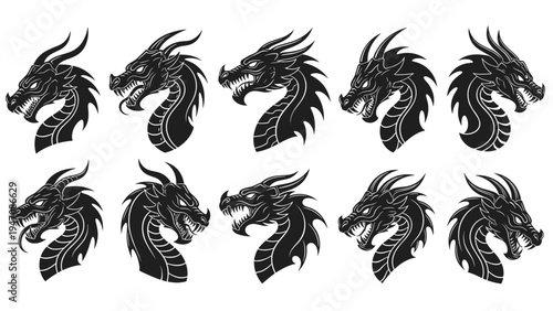 Set of ten detailed black and white dragon head profile illustrations in different styles for fantasy and tattoo design inspiration.