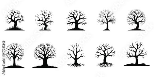Collection of bare tree silhouettes with visible roots and branches on white background trees