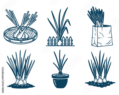 Spring Onion Line Art Set – Green Onion and Scallion Vegetable Illustration Collection