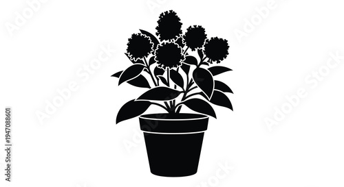 A striking black silhouette depicts a potted sunflower plant with multiple blooms and lush foliage silhouette high quality