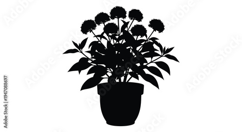 A striking black silhouette of a flowering plant in a pot showcasing delicate details silhouette high quality professional