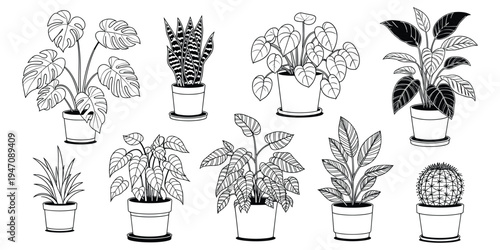 Collection of Black and White Potted Houseplants Line Art Illustrations potted plants
