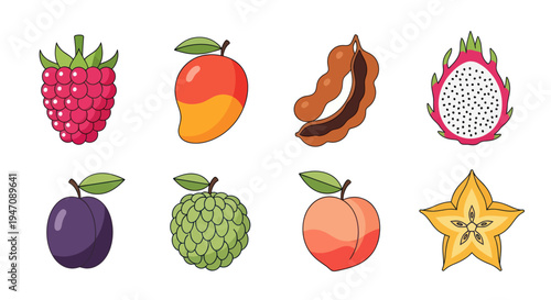 Colorful vector illustration of various fruits