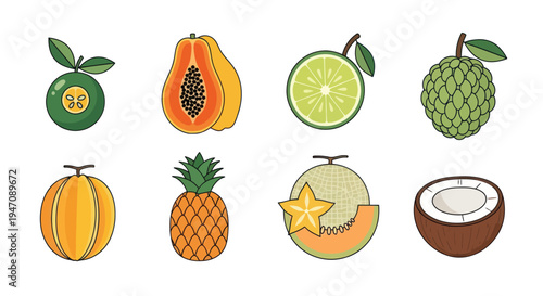 Colorful vector illustration of various fruits