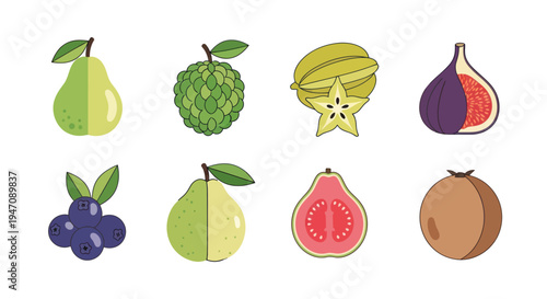 Colorful vector illustration of various fruits