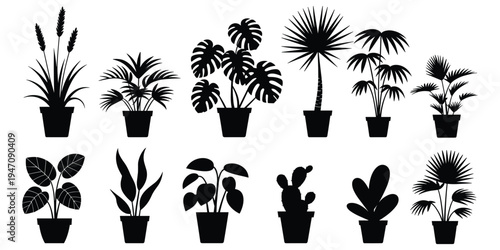 Collection of potted houseplant silhouettes in black on a white background potted plant foliage