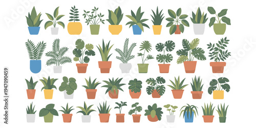 Diverse Collection of Potted Houseplants in Colorful Pots Flat Design potted plants illustration