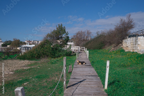 Wallpaper Mural paesaggio Torontodigital.ca