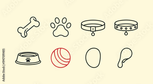 Dog accessories set illustration