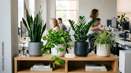 Purifying Indoor Plants in Stylish Pots Enhancing Office Ambience and Air Quality
