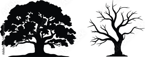 Silhouette of a leafy tree next to a bare winter tree on white background deciduous foliage