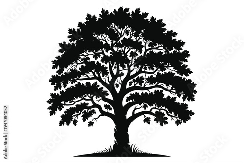 Silhouette of a large deciduous tree with a full canopy of leaves on a white background vector illustration