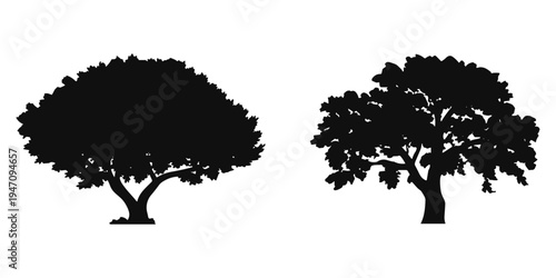 Two black silhouettes of trees with dense foliage on a white background nature plant