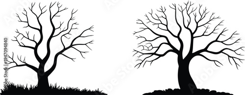 Two Silhouetted Bare Trees Against White Background With Grass And Ground Keywords: tree, silhouette, bare, winter, deciduous