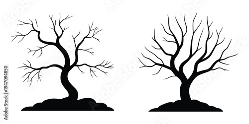 Two Silhouetted Bare Trees With Curving Trunks On White Background Keywords: tree, silhouette, bare, winter, deciduous, branch