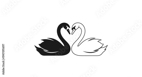 Black and white swans forming a heart shape with their necks, symbolizing love, unity, and harmony on a plain background.