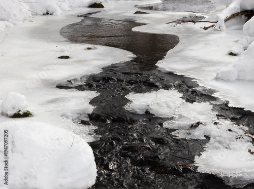 Icy water flowing in a forest stream in Muskoka during early March thaw 